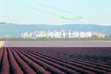 眉山中国十七块金牌