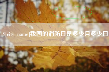 眉山我国的消防日是多少月多少日