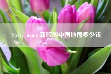 眉山新版的中国地图多少钱
