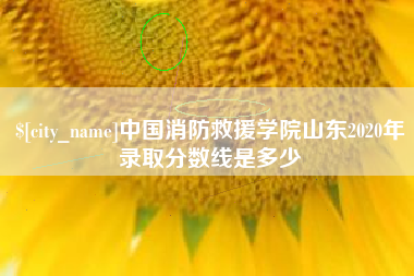 眉山中国消防救援学院山东2020年录取分数线是多少