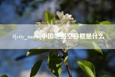 眉山中国地图空白框是什么