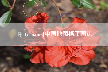 眉山中国地图格子画法