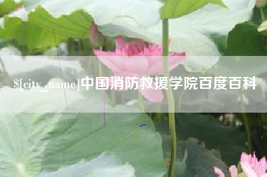 眉山中国消防救援学院百度百科