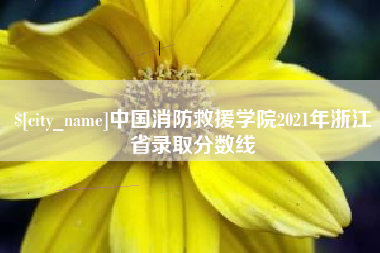 眉山中国消防救援学院2021年浙江省录取分数线
