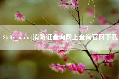 眉山消防证查询网上查询官网下载