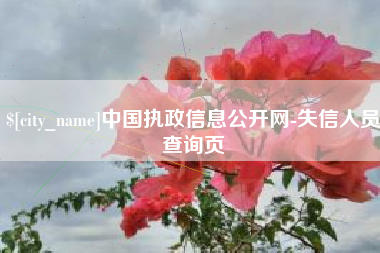 眉山中国执政信息公开网-失信人员查询页