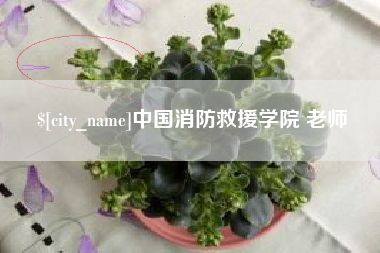 眉山中国消防救援学院 老师
