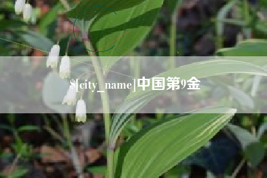 眉山中国第9金