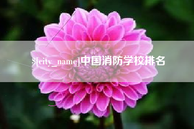 眉山中国消防学校排名