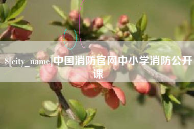 眉山中国消防官网中小学消防公开课