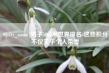 眉山男子5000米世界排名-这些积分不仅关乎个人荣誉