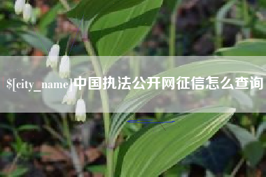 眉山中国执法公开网征信怎么查询