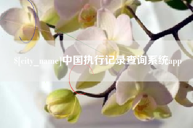 眉山中国执行记录查询系统app