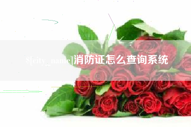 眉山消防证怎么查询系统