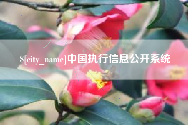 眉山中国执行信息公开系统