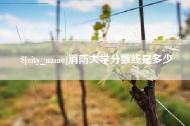 眉山消防大学分数线是多少