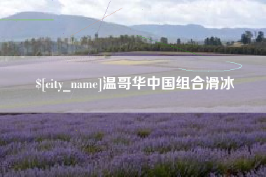 眉山温哥华中国组合滑冰