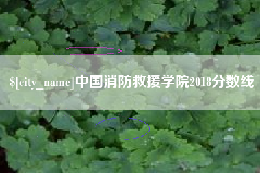 眉山中国消防救援学院2018分数线