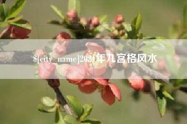眉山2021年九宫格风水