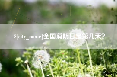 眉山全国消防日是第几天？