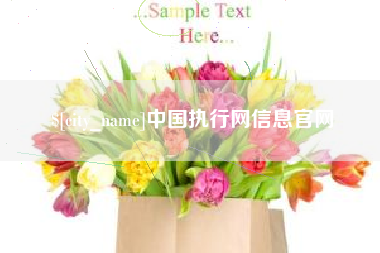 眉山中国执行网信息官网