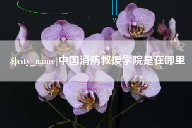 眉山中国消防救援学院是在哪里