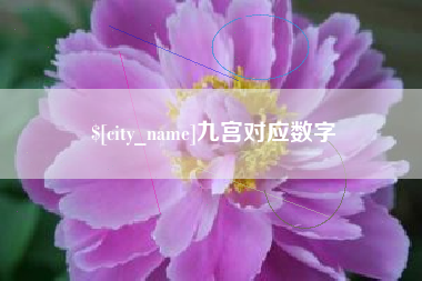 眉山九宫对应数字