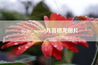 眉山九宫格龙图片