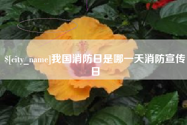 眉山我国消防日是哪一天消防宣传日