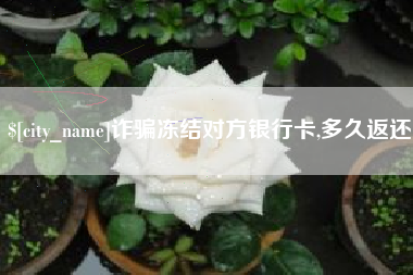 眉山诈骗冻结对方银行卡,多久返还