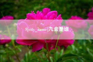 眉山九金是谁
