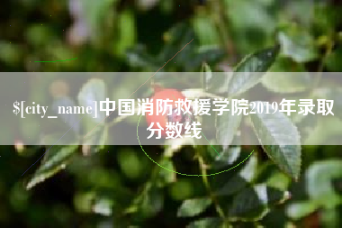 眉山中国消防救援学院2019年录取分数线