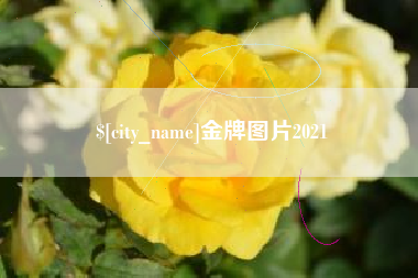 眉山金牌图片2021