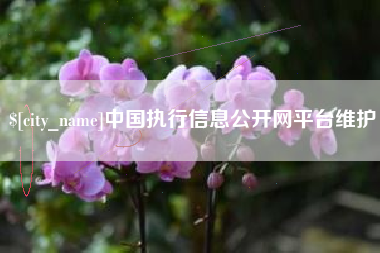眉山中国执行信息公开网平台维护