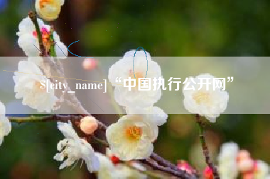 眉山“中国执行公开网”
