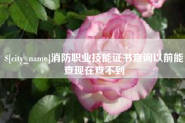 眉山消防职业技能证书查询以前能查现在查不到