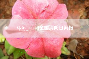 眉山全国消防日海报
