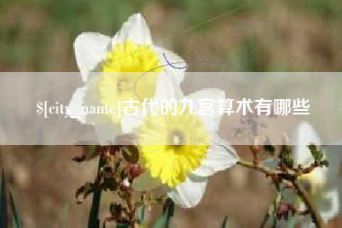 眉山古代的九宫算术有哪些
