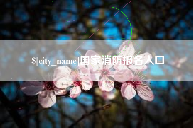 眉山国家消防报名入口
