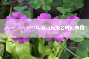 眉山2025年消防员报名时间表格