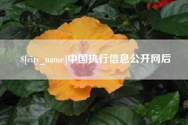 眉山中国执行信息公开网后