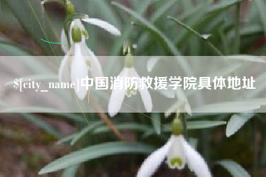 眉山中国消防救援学院具体地址