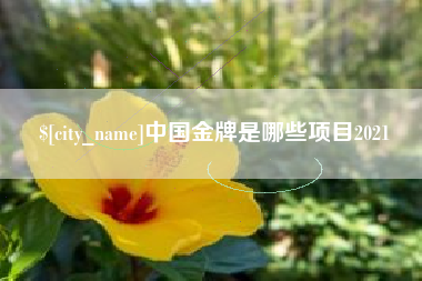眉山中国金牌是哪些项目2021