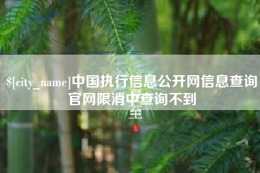 眉山中国执行信息公开网信息查询官网限消中查询不到