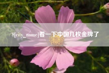 眉山看一下中国几枚金牌了
