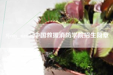 眉山中国救援消防学院招生简章