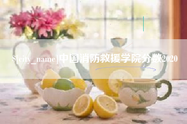 眉山中国消防救援学院分数2020