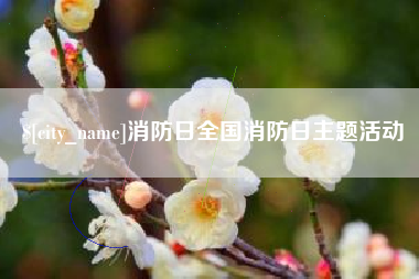 眉山消防日全国消防日主题活动
