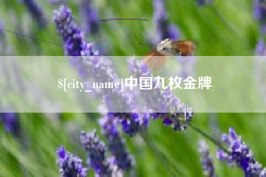 眉山中国九枚金牌
