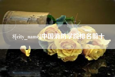眉山中国消防学院排名前十